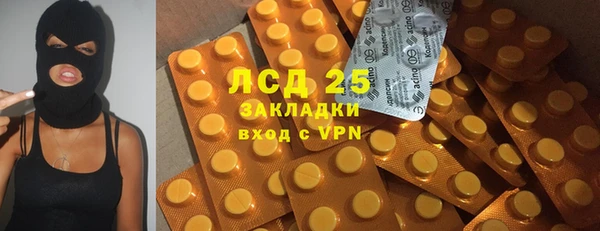 сатива Архангельск