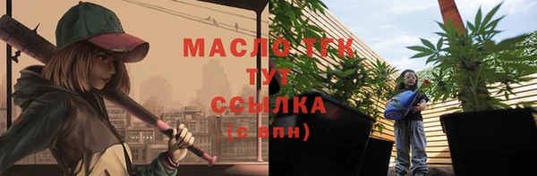 прущие грибы Ладушкин