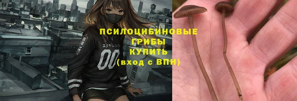 прущие грибы Ладушкин