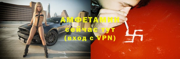 прущие грибы Ладушкин