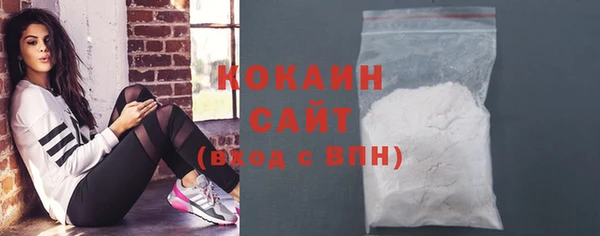 прущие грибы Ладушкин