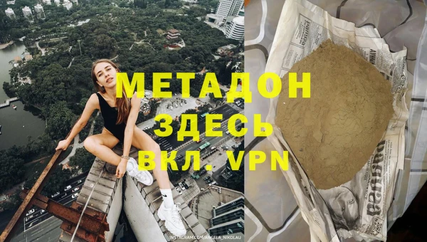 прущие грибы Ладушкин