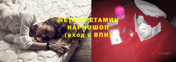прущие грибы Ладушкин