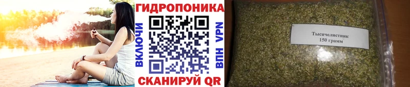 blacksprut рабочий сайт Тайга Шишки марихуана индика